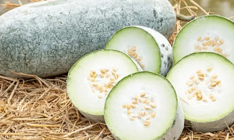 Ăn bí đao theo 4 cách này, hỏng thận lúc nào không biết: Điều số 1 nhiều người tưởng tốt