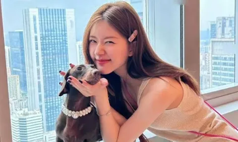 Nối gót Thùy Tiên: Nữ diễn viên nổi tiếng bị “xoá sổ” vì nghi vấn trục lợi livestream bán hàng