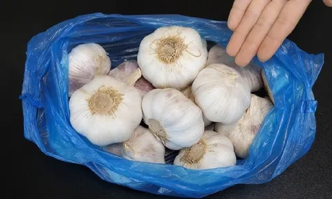 Mẹo bảo quản tỏi không cần tủ lạnh, cả năm không mọc mầm, mốc hỏng