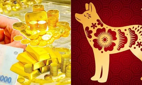 Từ tuần sau (25/8): 3 con giáp vận thế thăng hoa, may mắn phủ đầu, tiền đổ về như mưa rào đến cuối năm