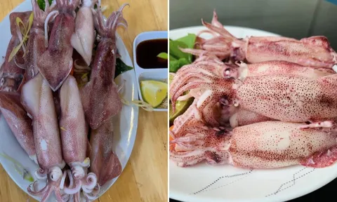 Mực tươi đem hấp hay luộc sẽ ngon hơn, không bị tanh?