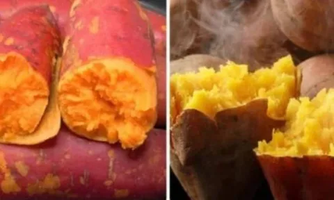 Ăn khoai lang: 3 nhóm người nên tránh kẻo mang thêm bệnh không ngờ
