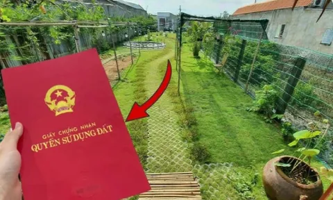 Có 4 khoản tiền người dân phải đóng khi muốn chuyển đổi đất vườn sang đất thổ cư