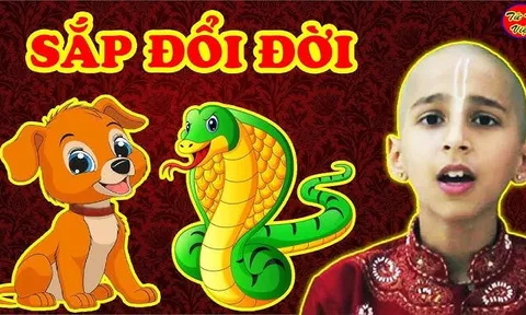 Lộc Kép Đến Tay 5 năm (2025-2030): 3 con giáp may mắn kiếp về bạc tỷ, thảnh thơi vẫn giàu