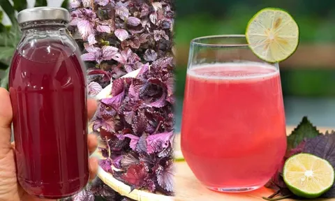 Uống nước tía tô chanh, cơ thể nhận được lợi ích tuyệt vời này