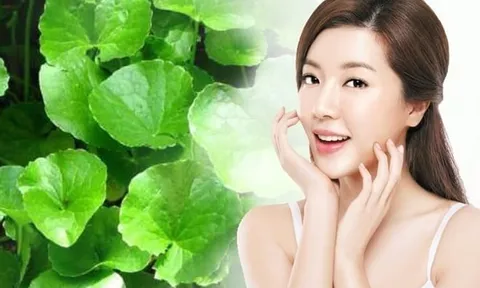 4 công dụng làm đẹp tuyệt vời từ loại rau rẻ tiền bán đầy ngoài chợ