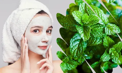 Bạc hà – loại thảo mộc quen thuộc là "thần dược" với làn da
