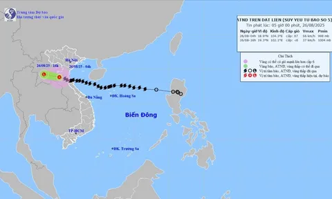 Cập nhật Bão số 5 tới sáng ngày 26/8, đã suy yếu thành áp thấp, dự báo mưa dông hôm nay thế nào?