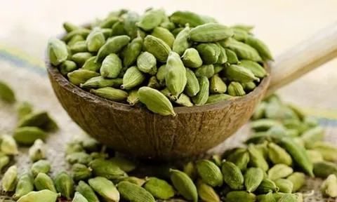 Loại hạt có giá hơn 2 triệu đồng/kg, đắt đỏ bậc nhất thế giới, Việt Nam ta trồng khắp nơi