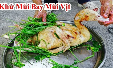 Vịt đầy lông măng thịt mãi không sạch: Vò nắm lá này thả vào chậu nước, 5 phút sạch bung