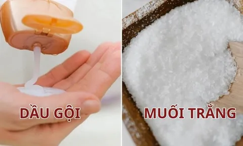 Trộn muối trắng với dầu gội: Công dụng tuyệt vời cho tóc cả nam và nữ đều thích