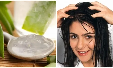 Ghim ngay meoj ủ tóc bằng nha đam giúp tóc óng khỏe, bóng mượt