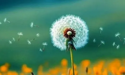 Người xưa dạy: 3 thứ này, ai có càng ít thì càng sống càng giàu phúc lộc, nửa đời sau an nhiên