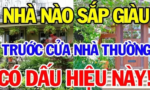 4 dấu hiệu ngôi nhà sắp phát tài