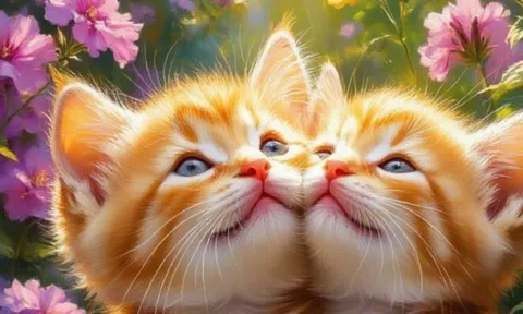 Có Phúc ắt Có Phần: 3 Con Giáp chăm làm Việc Thiện, càng sống Càng Giàu Phúc Lộc