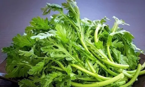 Rau này thường có vào mùa đông, giàu dinh dưỡng, thơm ngon, thanh lọc cơ thể chẳng thua kém bồ công anh