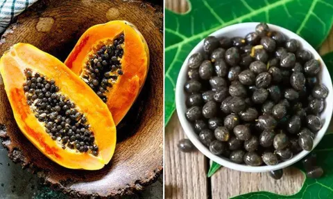 Hạt đu đủ là dược liệu quý, có 7 lợi ích tuyệt vời