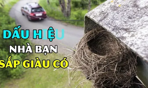 Tổ Tiên gửi Mộng Vàng: Nhà gặp 3 dấu hiệu này sắp sửa giàu to, con cháu lo mà hưởng