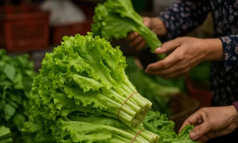 Rau “rẻ bèo” bị lãng quên ở Việt Nam: Giàu canxi gấp 36 lần xương hầm, giúp giảm cân, đẹp da, chắc xương