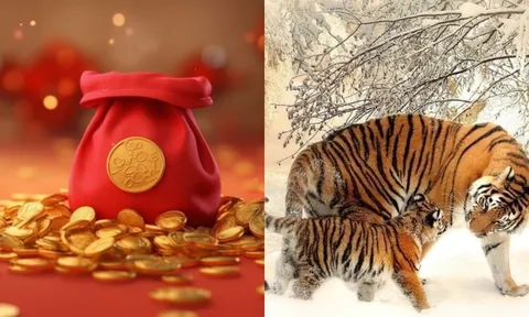 3 ngày cuối tuần (5/9-7/9): 3 con giáp ra ngõ giẫm phải tiền, Thứ Bảy - Chủ Nhật Thần Tài đuổi theo đến cùng
