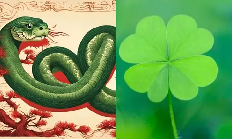 Vận đỏ như son 66 ngày tới: 3 con được bà Chúa Kho túi tiền đầy két, giàu ngộp thở, vạn sự hanh thông