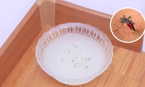 Ruồi muỗi rất sợ loại nước này, đặt một bát trong nhà, không con nào dám bén mảng lại gần