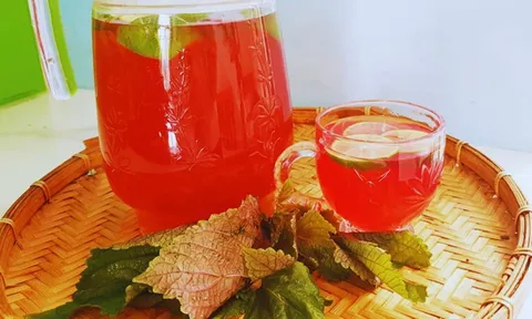 Uống nước lá tía tô cực tốt nhưng lại kỵ với 6 người này, hãy tránh xa!