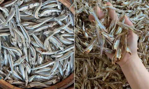 3 loại cá giàu omega-3, ít 'ngậm' thủy nhân, tốt không kém cá hồi, chợ Việt vừa nhiều vừa rẻ