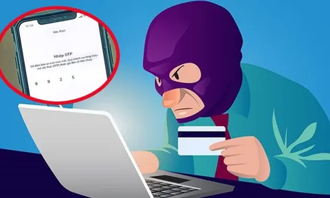 Tại sao bọn lừa đảo biết chính xác số tài khoản ngân hàng, mật khẩu và mã OTP của người dùng?