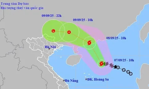 Tin Bão Số 7(Bão Tapah); cảnh báo mưa lớn trên diện rộng