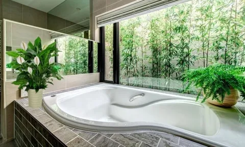 3 vị trí đặt cây xanh trong nhà giúp gia chủ giàu có thịnh vượng, làm ăn phát tài, phát lộc