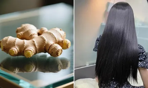 Gội đầu bằng nước gừng nấu với loại lá này, tóc giảm rụng, tóc con mọc ngày càng nhiều