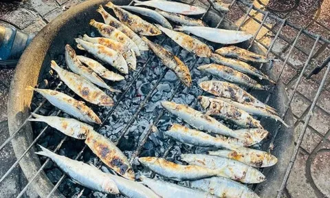Loại cá này giàu Omega-3, rẻ hơn cá hồi àm không lo ngậm thủy ngân, lại bán đầy chợ Việt