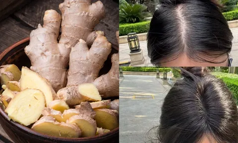 Cách trộn dầu gội với gừng giúp giảm rụng tóc, tóc mọc dày, đen bóng