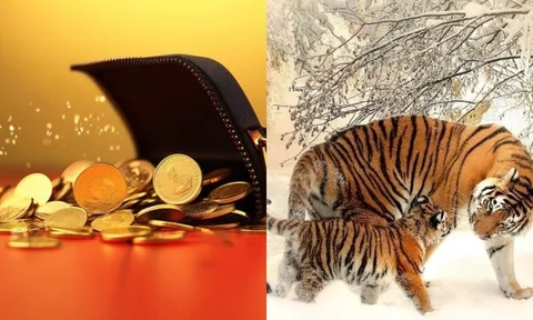 Cuối tháng 9: 4 con giáp vận đỏ chạm nóc, tháng 10 ngồi trên kho báu, cuối năm bước thẳng đại lộ phú quý