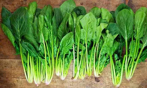 “Siêu thực phẩm” cực tốt cho làn da, giúp da nàng mướt mịn sáng khỏe