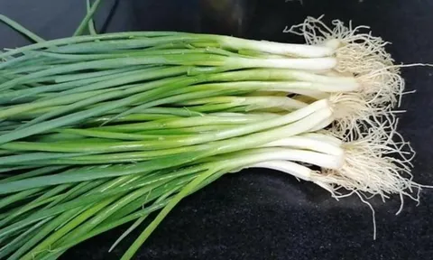 Cách bảo quản hành lá tươi lâu, để cả tháng không bị nát