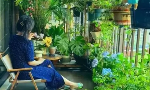 5 vật tuyệt đối không đặt trên ban công, giúp ngôi nhà hút tài lộc và may mắn ngay lập tức