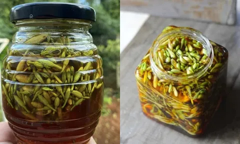 Bị bệnh gì có thể dùng hoa đu đủ đực ngâm mật ong?