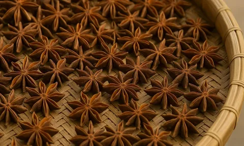 Hoa hồi – “gia vị thơm” âm thầm mang về hơn 1.000 tỷ đồng cho Việt Nam