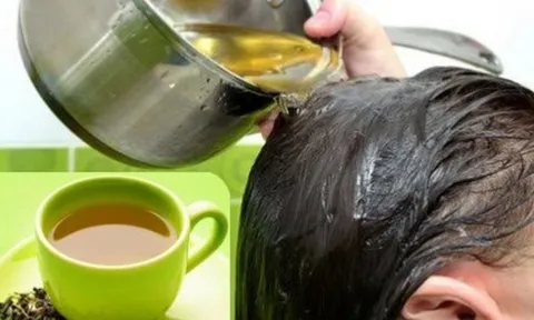4 loại lá phổ biến trong vườn nhà giúp gội đầu làm sạch tóc, mượt tóc, kích mọc tóc