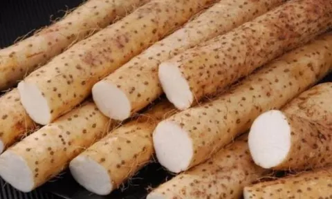 Loại củ phơi khô rẻ tiền ở Việt Nam được ví như 'thuốc trường thọ': Tốt cho thận, ổn định đường huyết