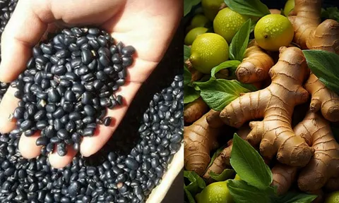  Vì sao nên thêm gừng vào nước đậu đen? Cách nấu nước đậu đen để không có tác dụng phụ