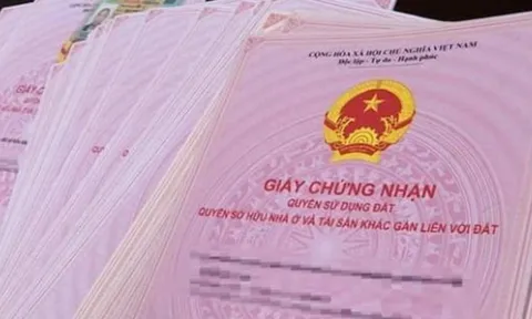 Hàng triệu người được hưởng lợi theo Luật Đất đai mới: Quyền lợi đặc biệt không thể bỏ qua