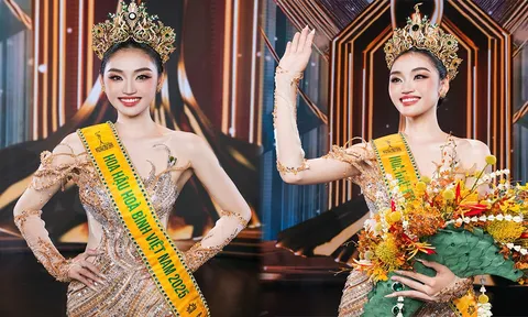 Tân Miss Grand Vietnam 2025 sở hữu profile đặc biệt chưa từng có, hành trình nỗ lực đáng ngưỡng mộ