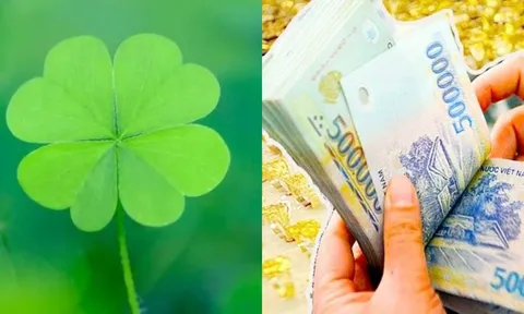 3 con giáp mang 'thiên mệnh công danh' được ví như 'ông hoàng công việc', làm gì cũng ra tiền