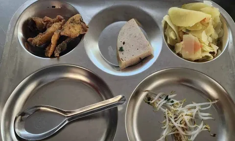 Hà Nội: Học sinh than đói vì suất cơm bán trú quá ít, không đủ no