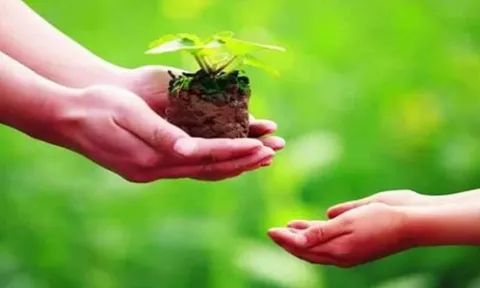 3 cách phong thủy xả xui cuối tháng cô hồn, rước tài lộc, may mắn đầu tháng mới