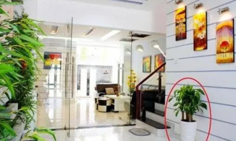 5 quy tắc phong thủy hút tài lộc: Người giàu đặc biệt kiêng kỵ phần 'miệng' của ngôi nhà