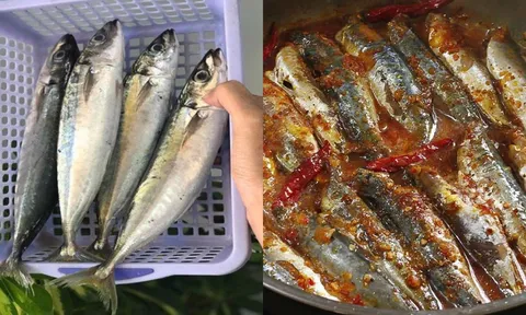 Loại cá “bình dân” mà bổ dưỡng không ngờ, giàu omega-3 hơn cả cá hồi
